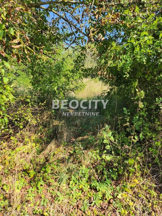 Plac, Sopot, Šumadijskih brigada ID: 102613 1