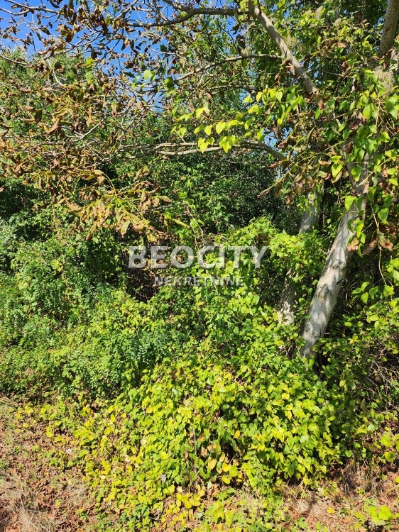 Plac, Sopot, Šumadijskih brigada ID: 102613 2