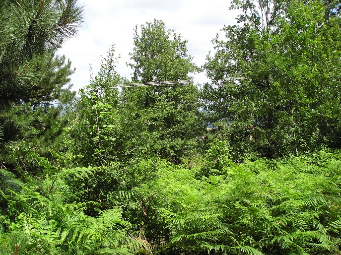 Zlatibor plac na prodaju 4