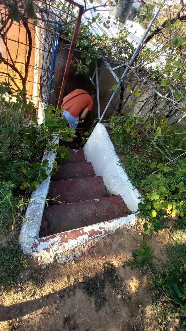 Sutomore  vertkala 2