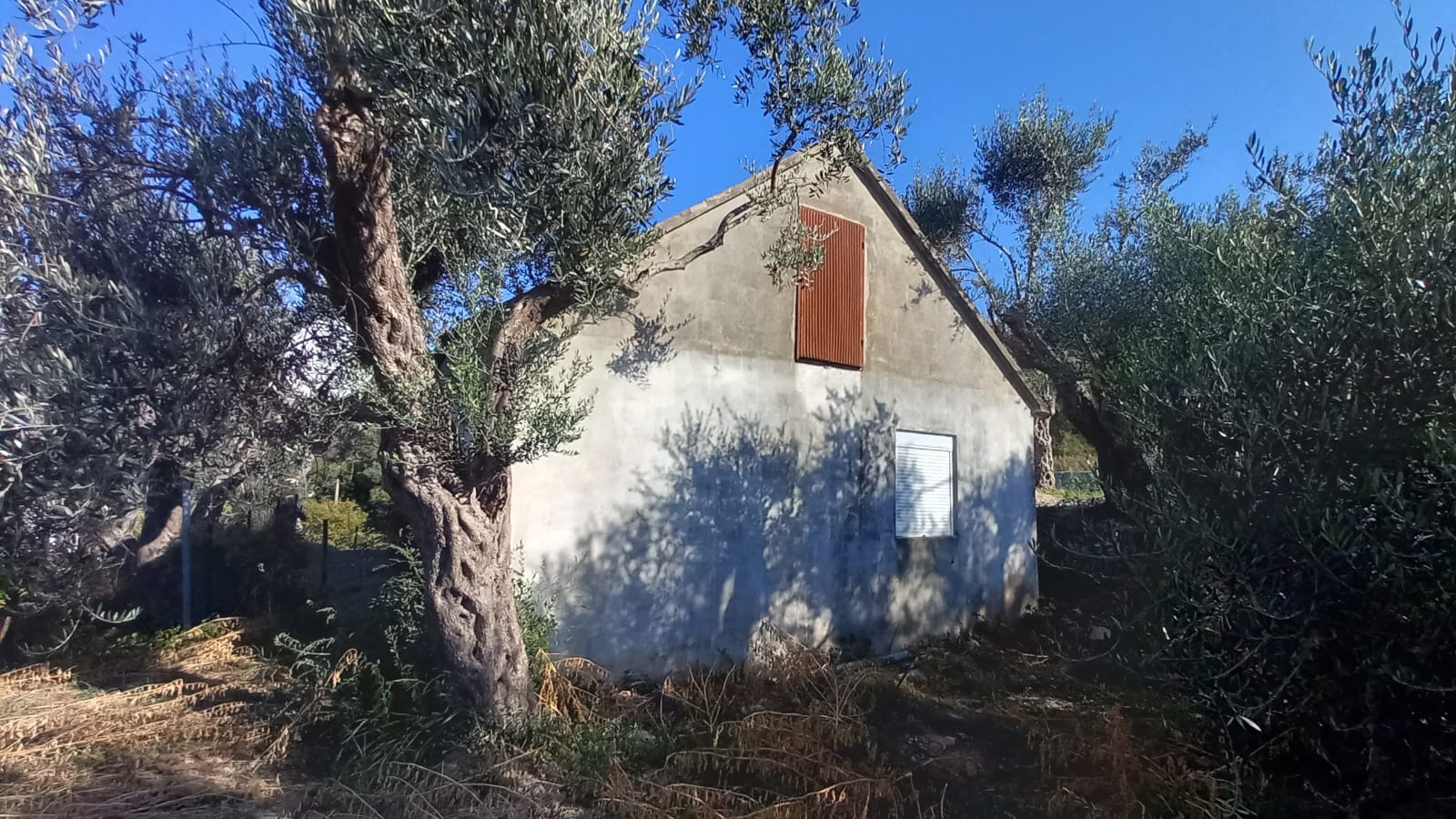 Bar  Sustaš  maslinjak sa pogledom 3