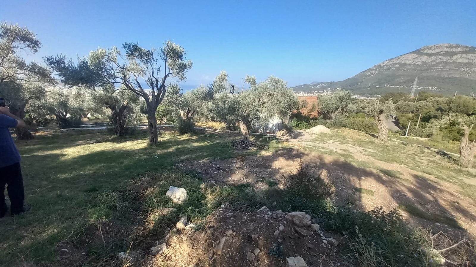 Bar  Sustaš  maslinjak sa pogledom 5