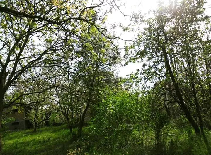 2 etažna kuća na prodaju  Atovi Nova 13 38 5