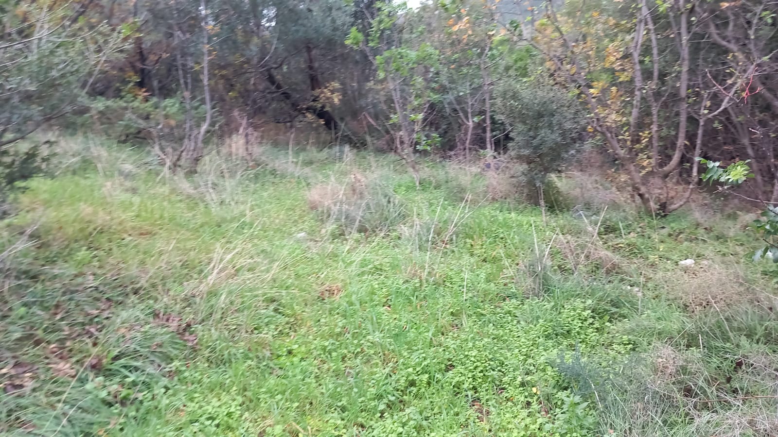 Sutomore  odličan plac  ispod ceste  povoljno 2