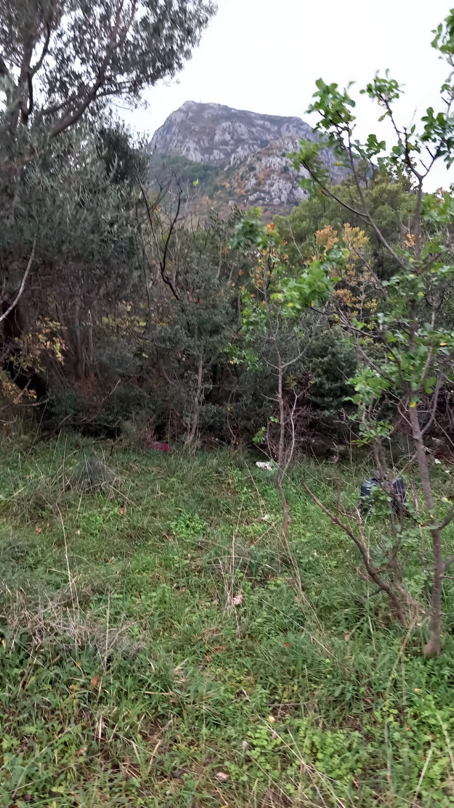 Sutomore  odličan plac  ispod ceste  povoljno 4