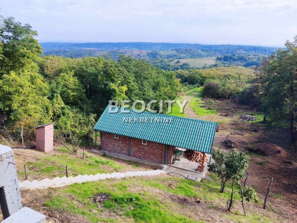 Plac, Fruška gora ID: 102907 2