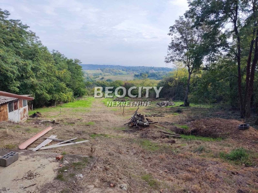 Plac, Fruška gora ID: 102907 5