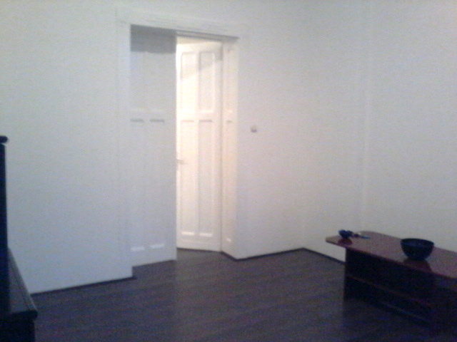 Salonski stan Zemun centar 3