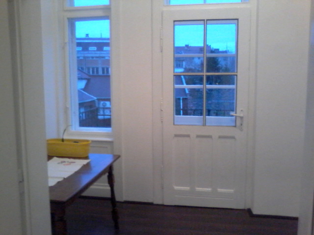 Salonski stan Zemun centar 5