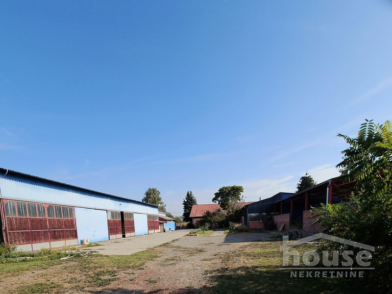 Lokal,BAČKI JARAK,BAČKI JARAK 1105m2,1030000€ , ID: 8090985 4