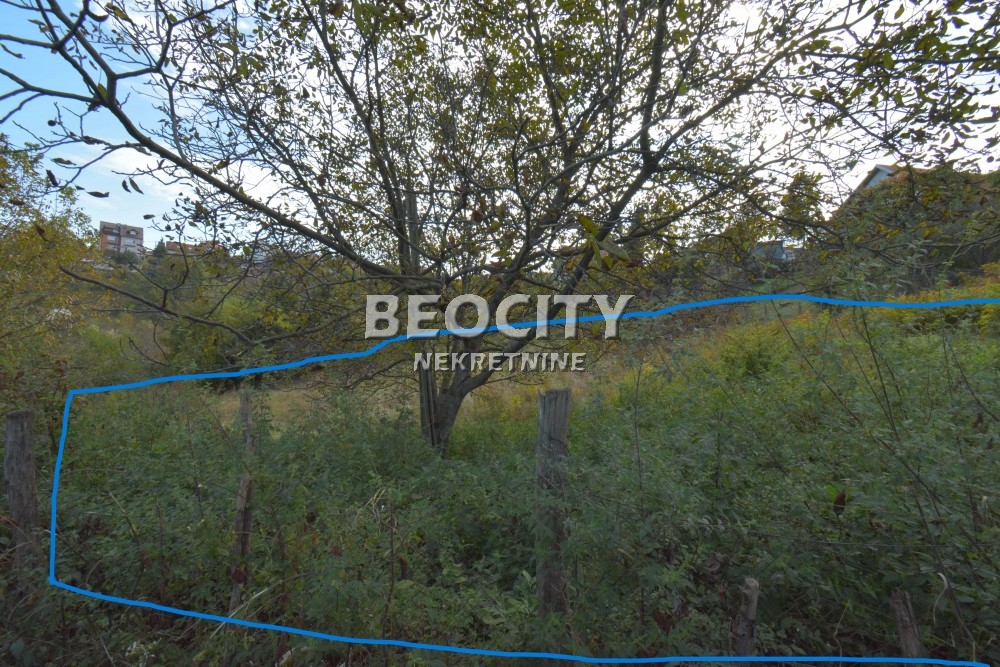 Plac, Sremčica, Sariceva ID: 103224 8