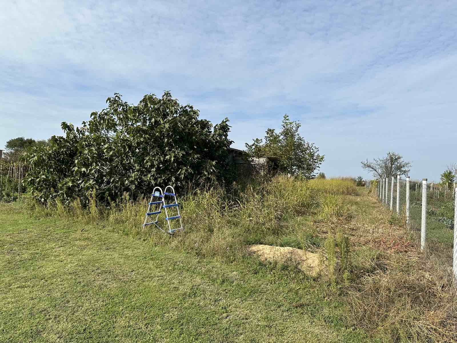 Gradjevinsko zemljiste Cenej  nemanovci  1600m2 5