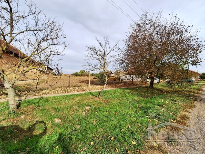 Kuca,DESPOTOVO,CENTAR140m2,29000€ , ID: 3045892 12