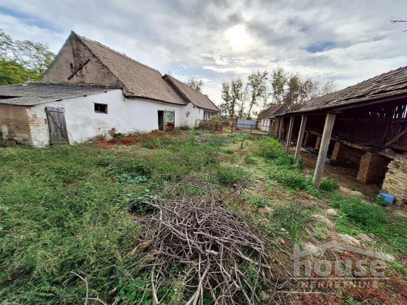 Kuca,DESPOTOVO,CENTAR140m2,29000€ , ID: 3045892 13