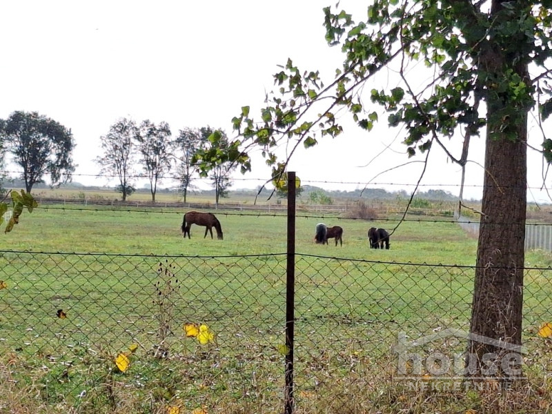 Kuca,DESPOTOVO,CENTAR140m2,29000€ , ID: 3045892 30