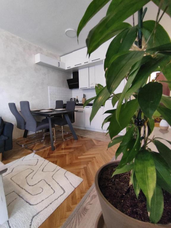 Lux stan iza Sheratona sa pogledom na Frusku goru 2