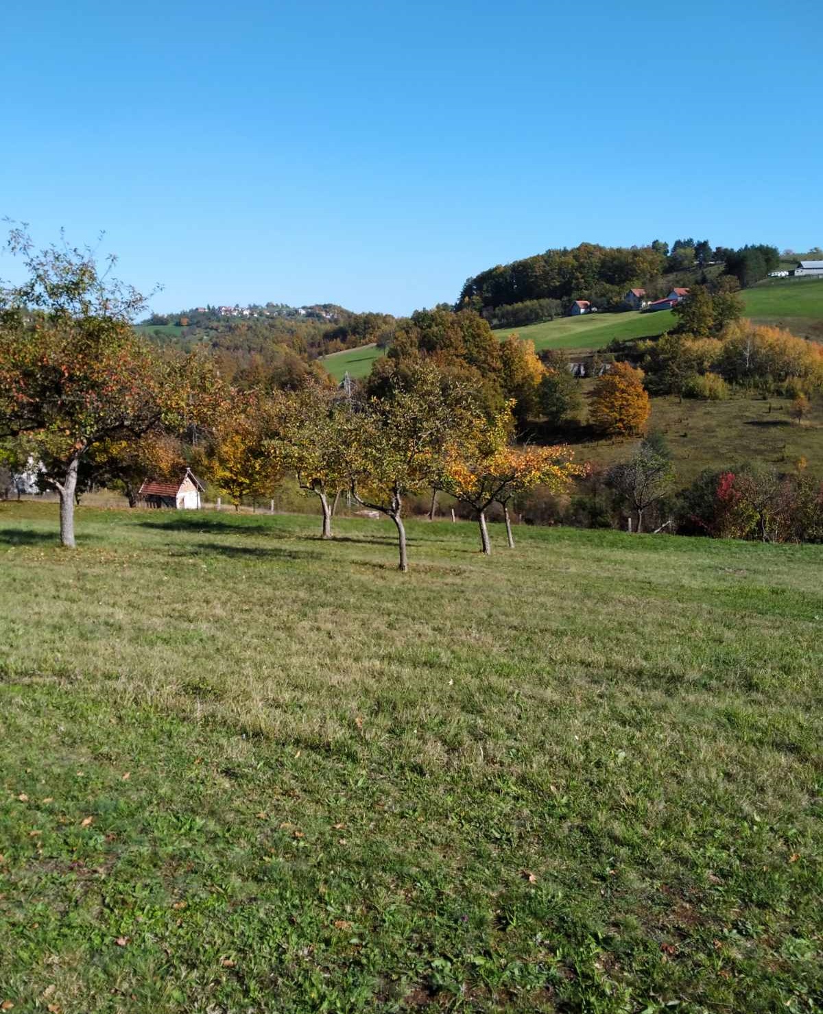 Prodajem parcelu na teritoriji opstine Cajetina 4