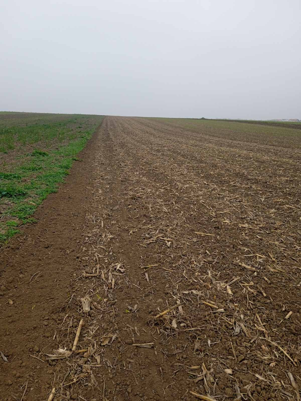 Prodaja zemljista Batajnica 4