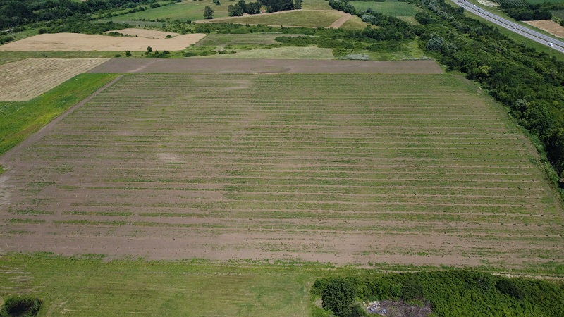 Zasad Cendler oraha 7ha 5