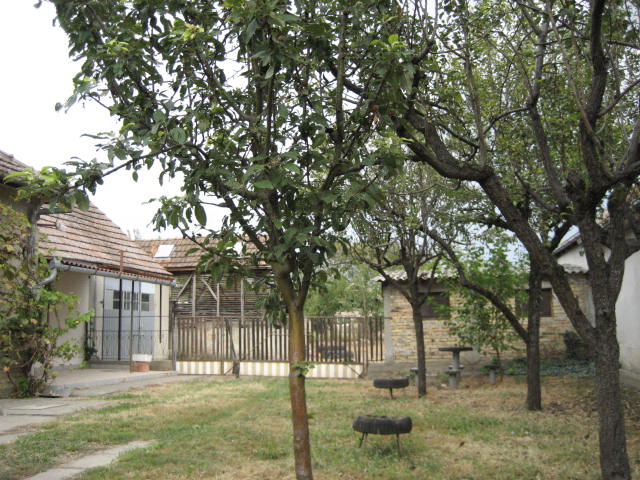 Bačko Gradište   porodična kuća 4