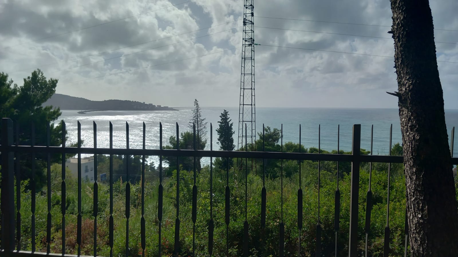 Zeleni Pojas  300m  od plaže 1