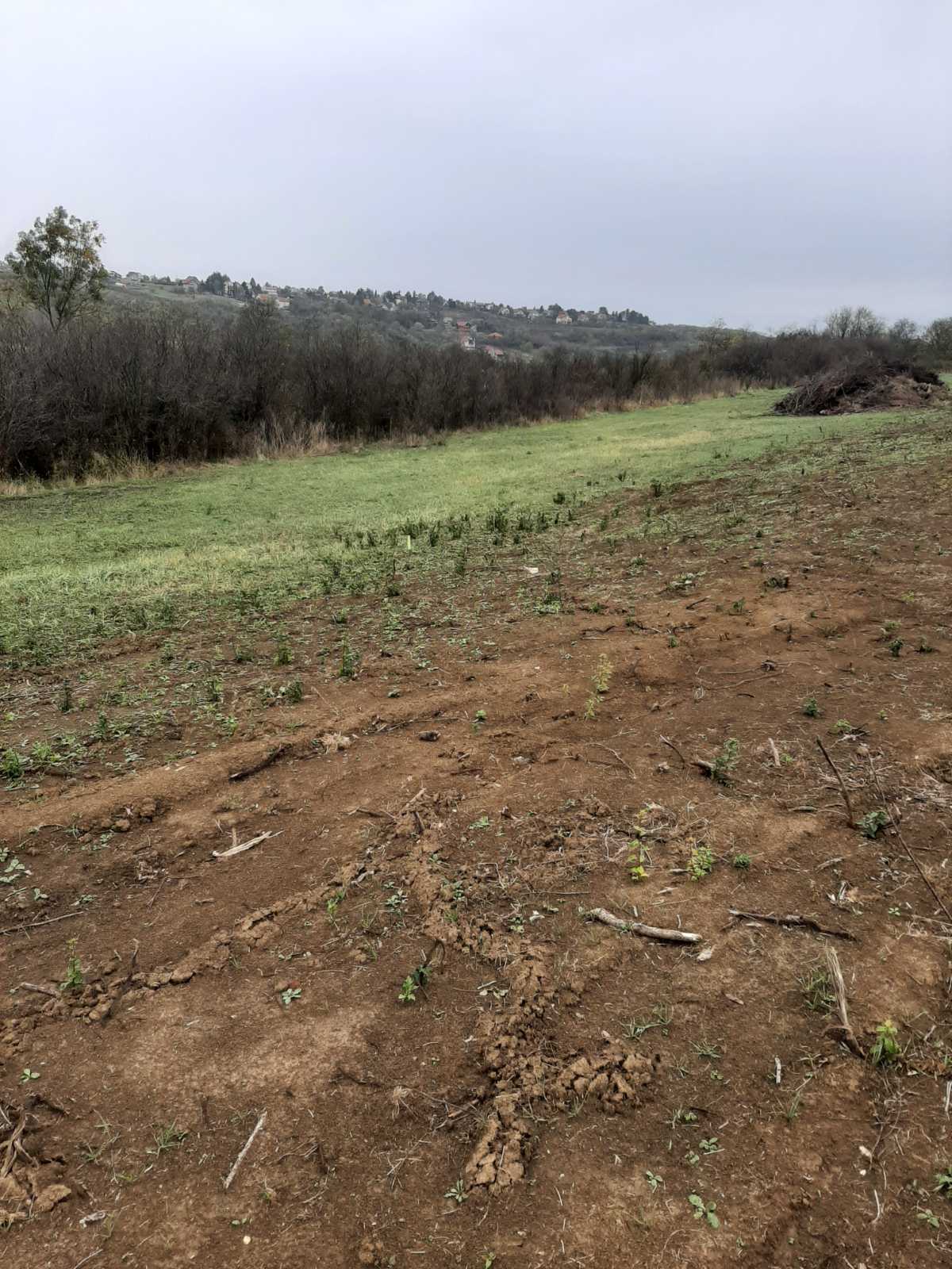 Prodaje se plac 10 ari opstina Čukarica  mesto Velika Moštanica 2