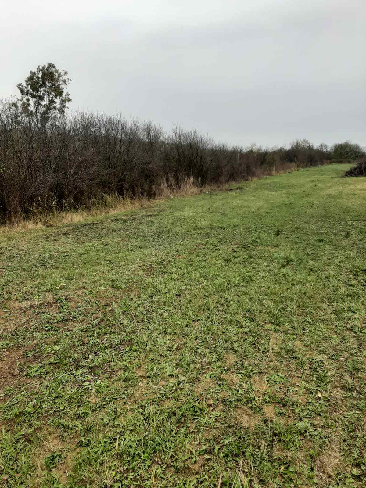 Prodaje se plac 10 ari opstina Čukarica  mesto Velika Moštanica 5