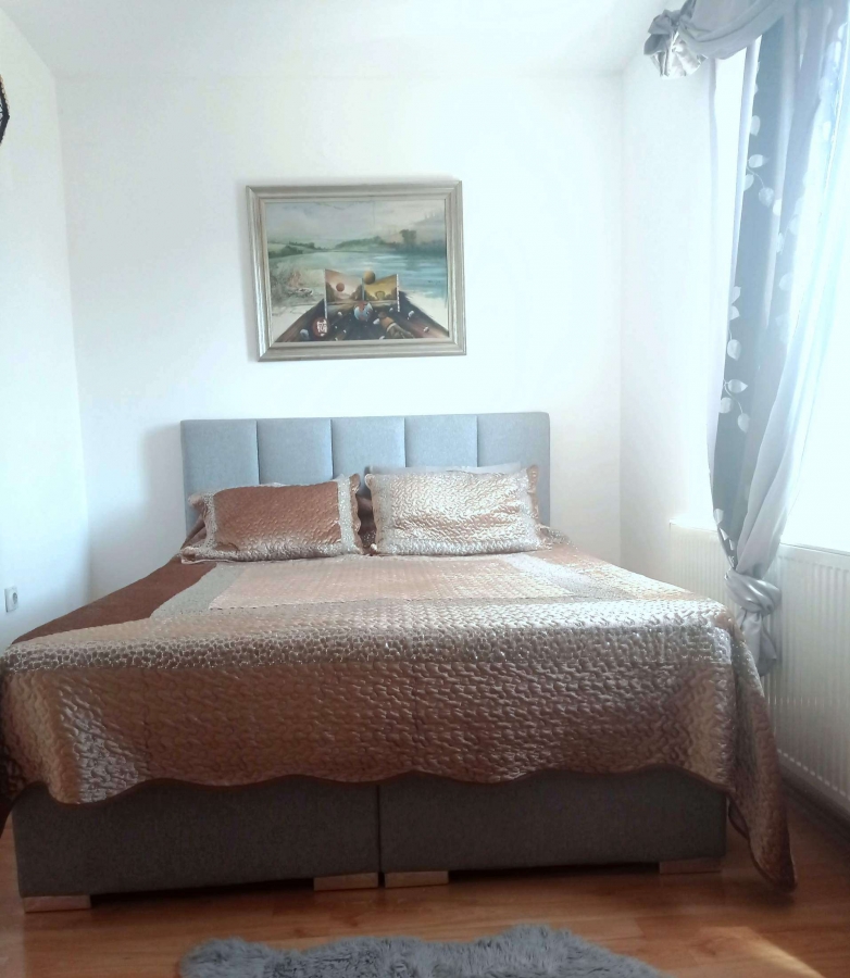 BULEVAR, 52m2, Dvoiposoban kod Futoške pijace 4