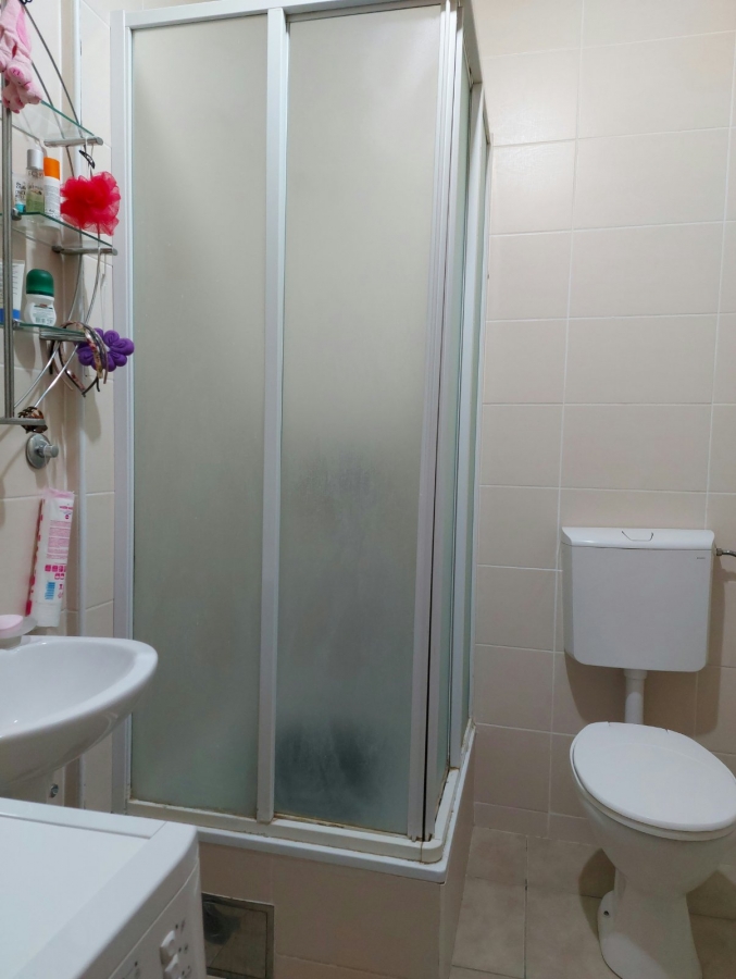 BULEVAR EVROPE, 26 m2, Jednosoban, Namešten 7