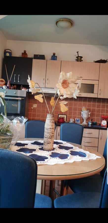 PETROVARADIN, 87 m2, Trosoban može Troiposoban! 13