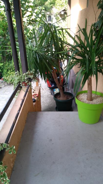 dobra kuća kod Pijace 7