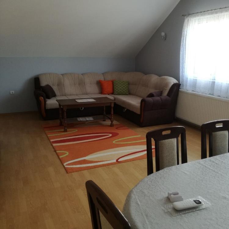 Dve kuće sa poslovnim prostorom 10