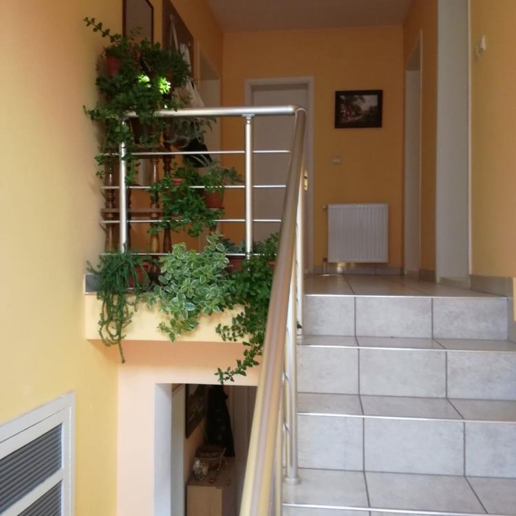 Dve kuće sa poslovnim prostorom 11