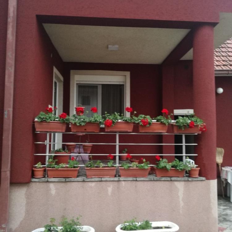 Dve kuće sa poslovnim prostorom 4