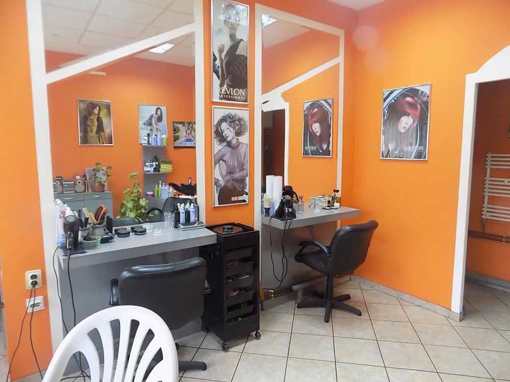 Dve kuće sa poslovnim prostorom 6