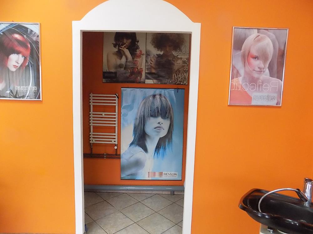 Dve kuće sa poslovnim prostorom 8