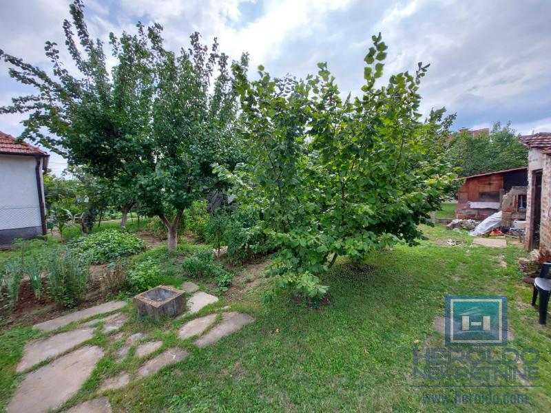 Dve kuće ukupne povrsine 198m2 na placu od 8a u selu Rakitovo 19