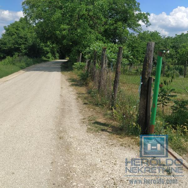 Građevinsko zemljište/Panjevački Rit 3