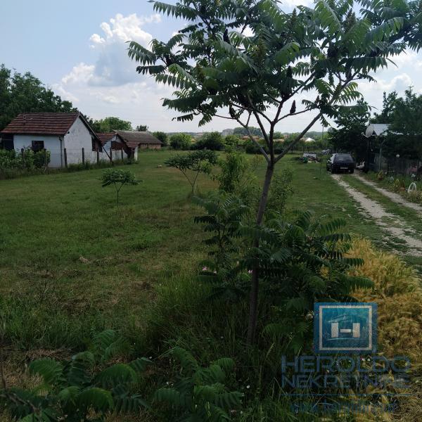 Građevinsko zemljište/Panjevački Rit 11