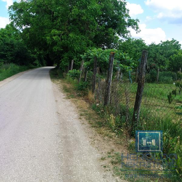 Građevinsko zemljište/Panjevački Rit 12