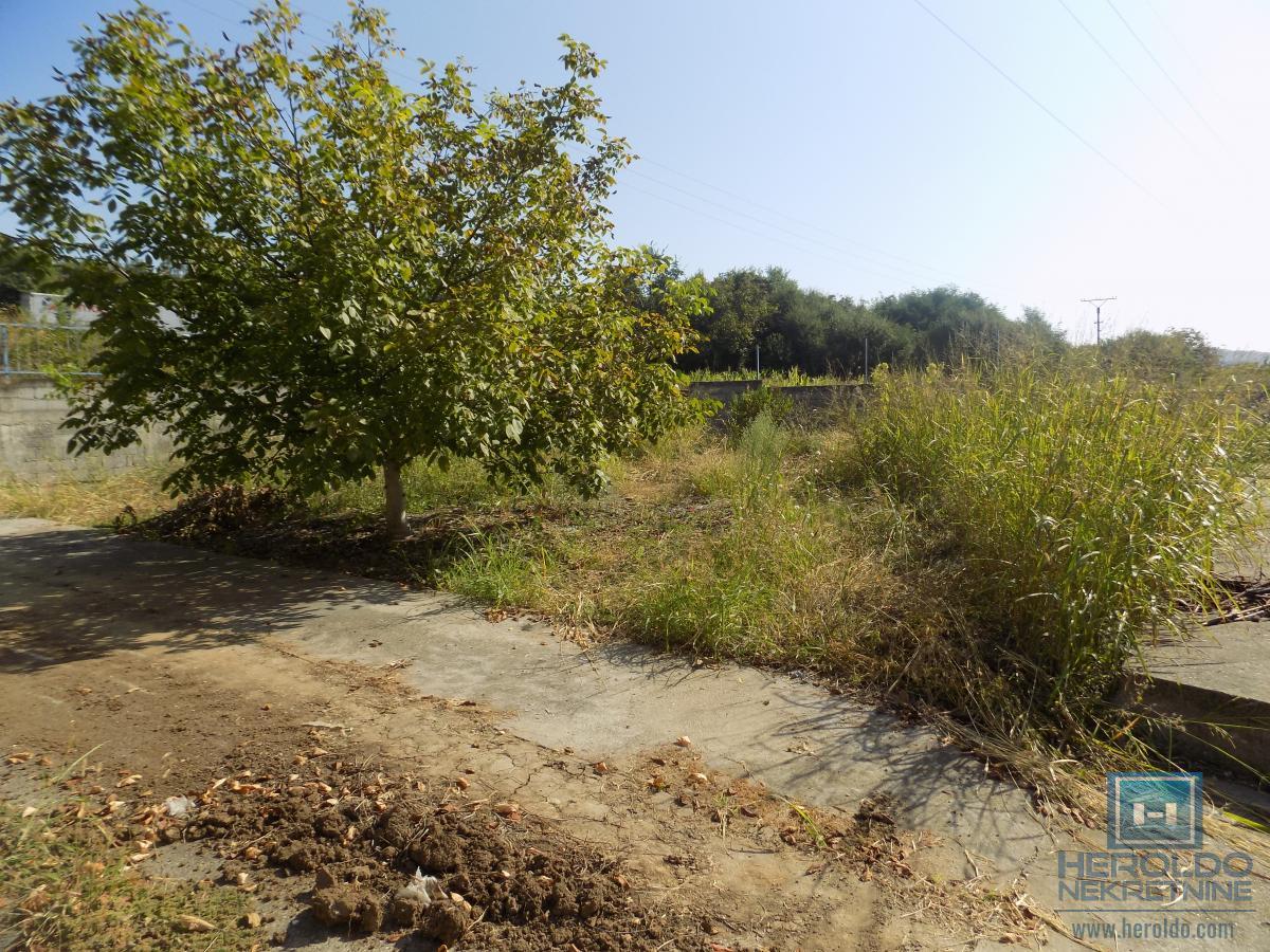 Hala za izdavanje-poslovna zgrada za izložbeni ili prodajni prostor 13