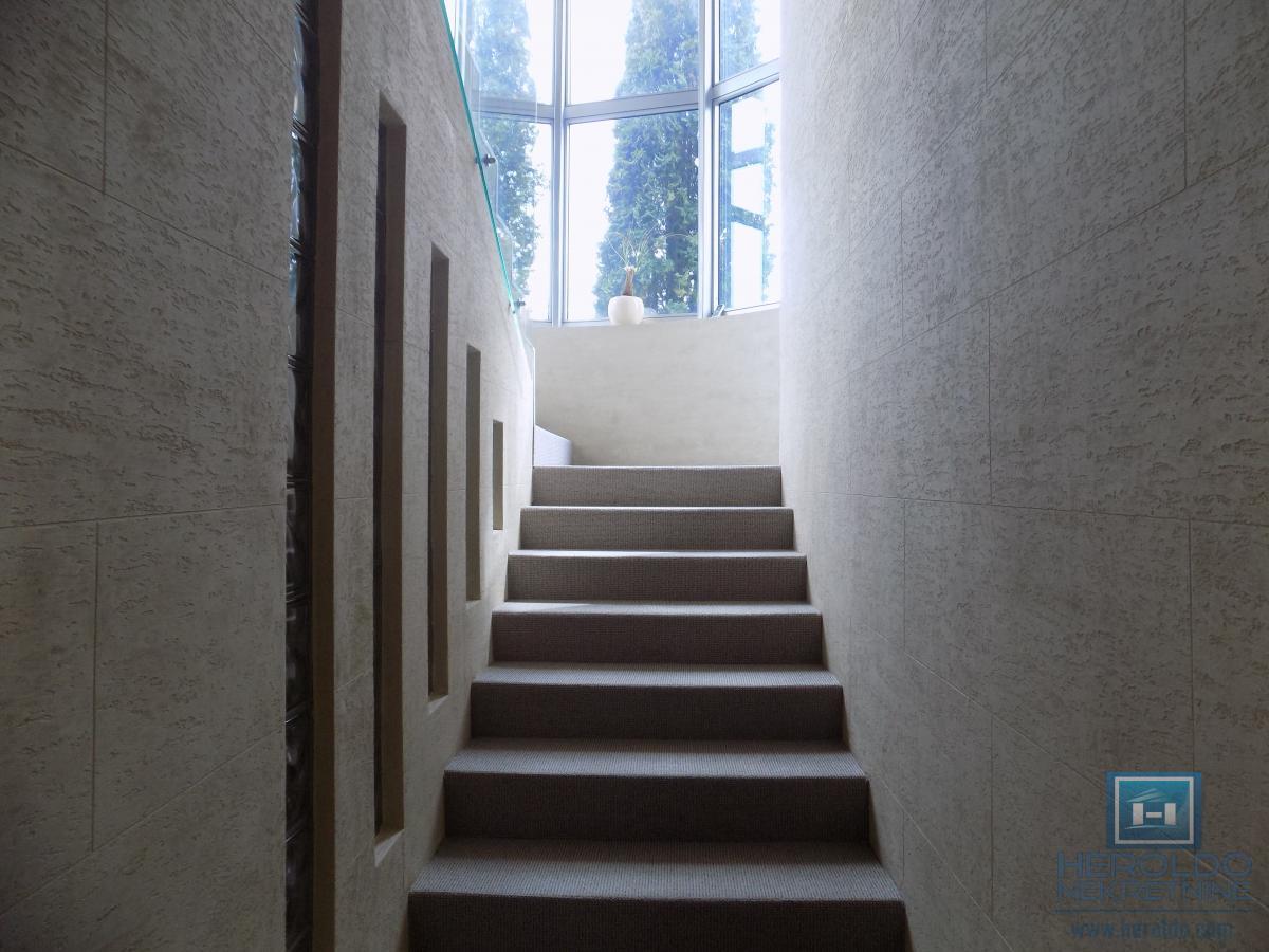 Izdajemo opremljenu poslovnu zgradu sa sedam kancelarija 37