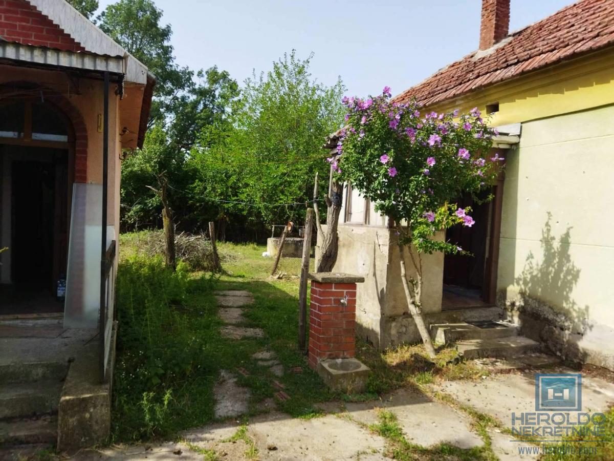 Kompletno seosko domaćinstvo u Tečiću 3