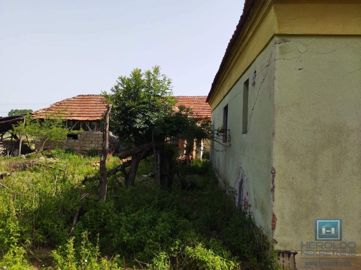 Kompletno seosko domaćinstvo u Tečiću 5