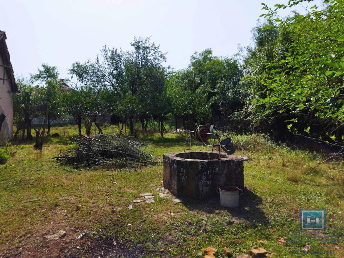 Kompletno seosko domaćinstvo u Tečiću 6