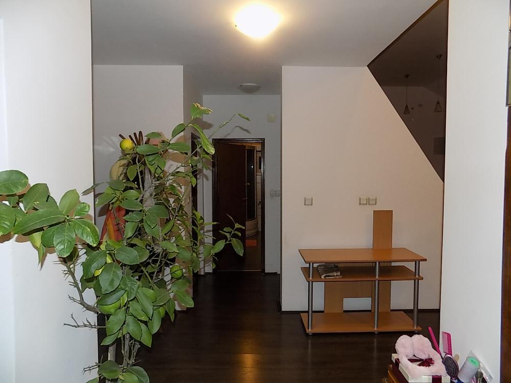 Kuća bez ulaganja 11