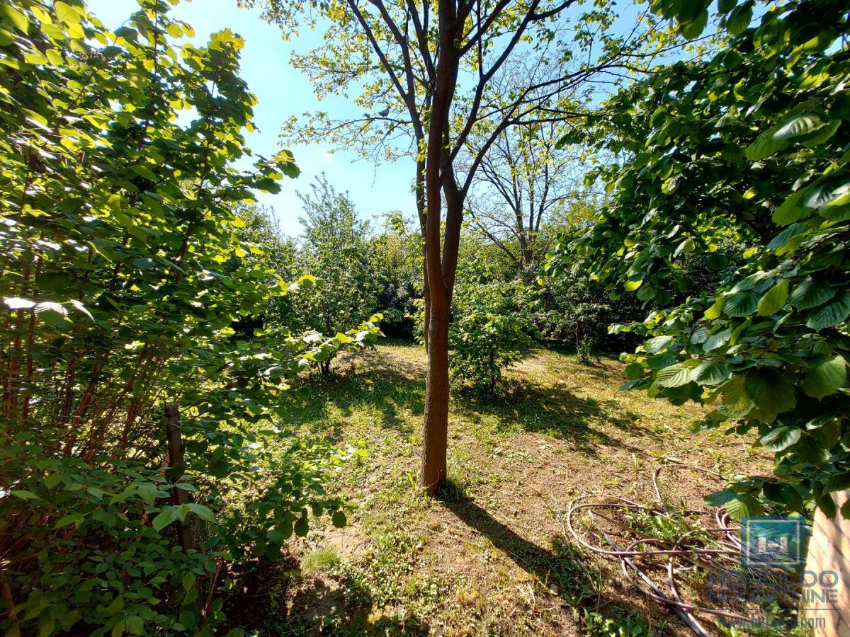 Kuća od 120m2 u naselju Kupusara na 7.39a placa 15