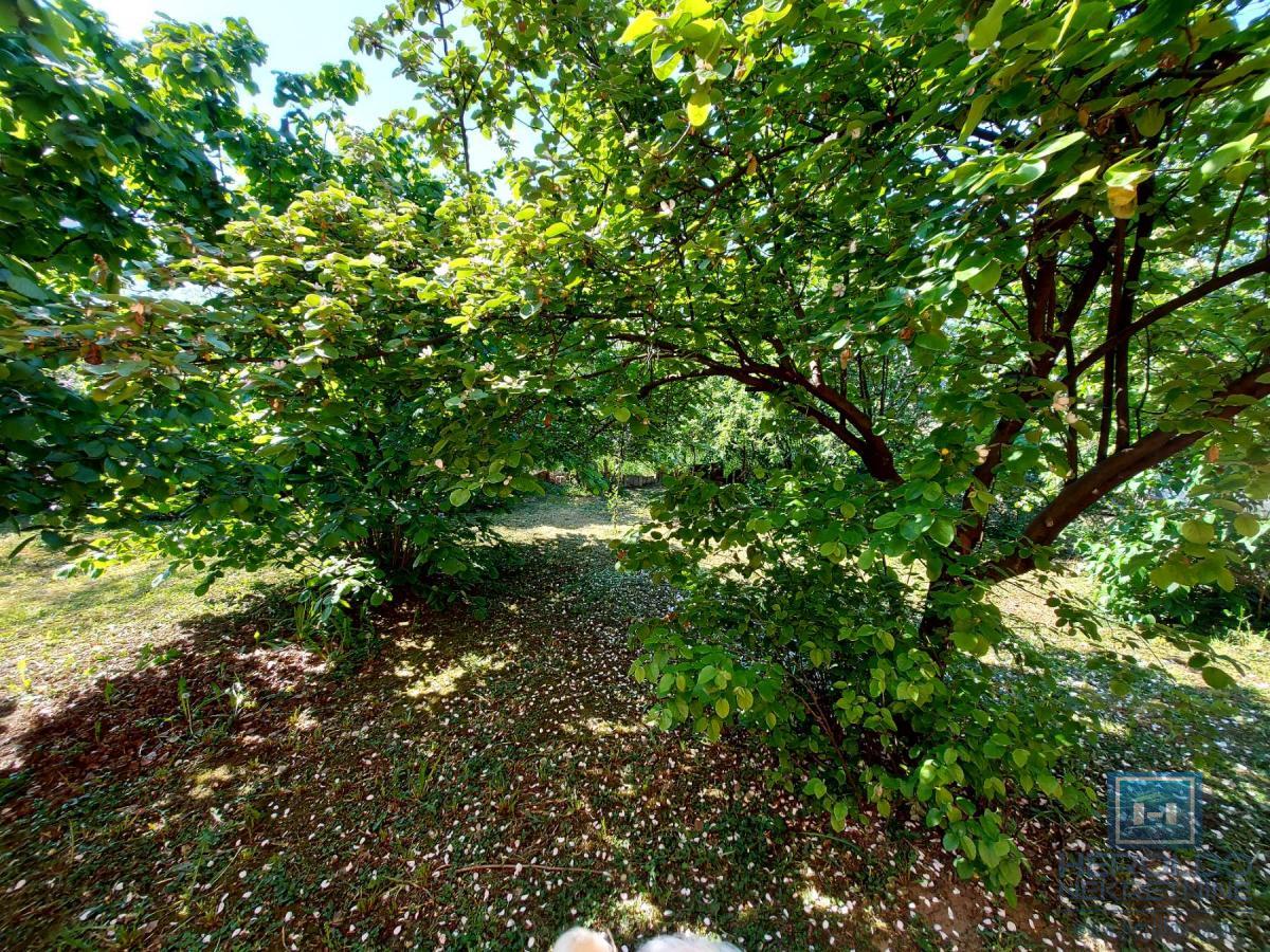 Kuća od 120m2 u naselju Kupusara na 7.39a placa 16