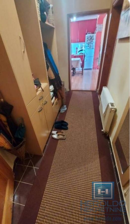 Kuća sa 4 zasebna stana kod Akva parka 20