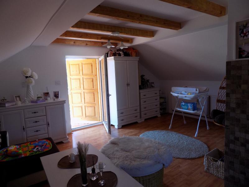 Kuća sa velikim placem za odmor i uživanje u blizini Morave 4